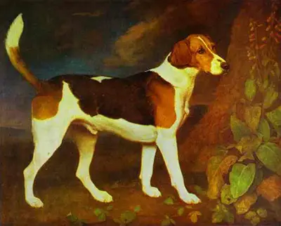A Foxhound Called Ringwood George Stubbs